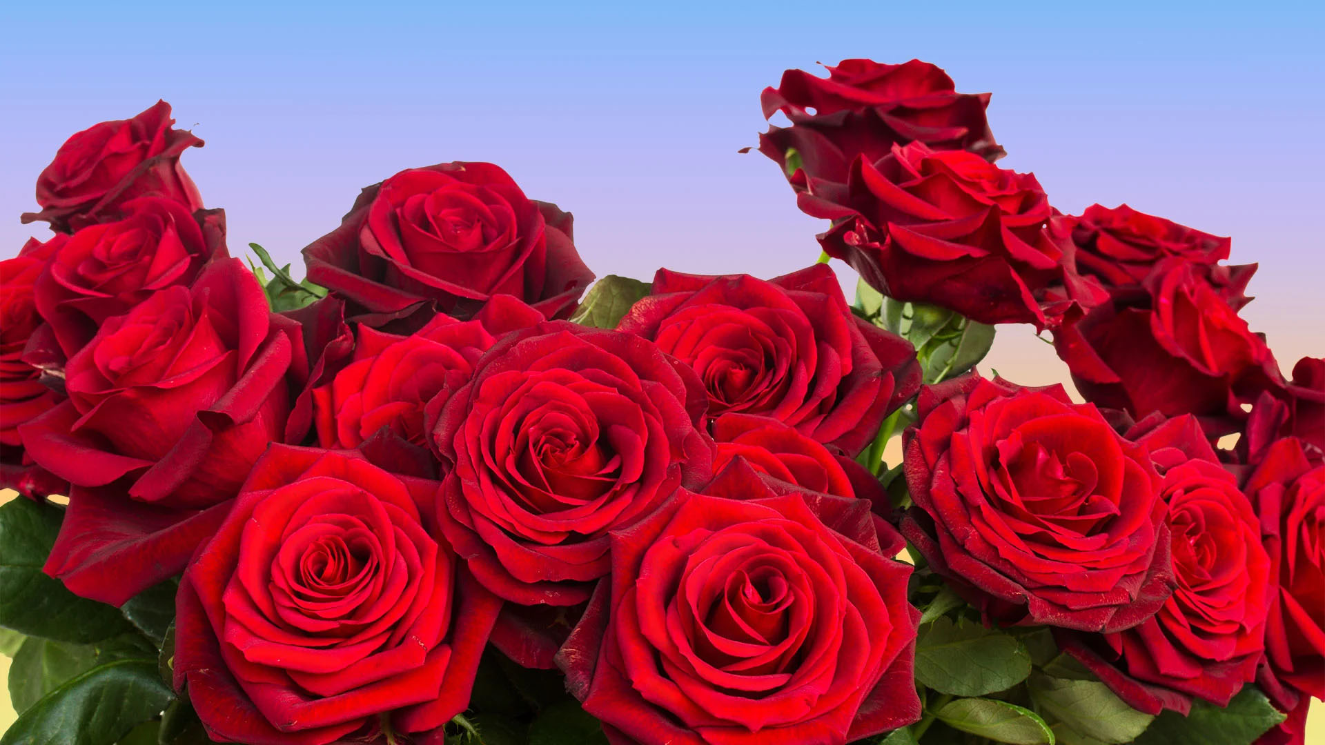 February 2026 Community Newsletter